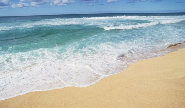 Затока. Море і пляж Узбережжя Чорного моря в Затоці