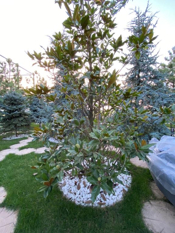 Територія готелю