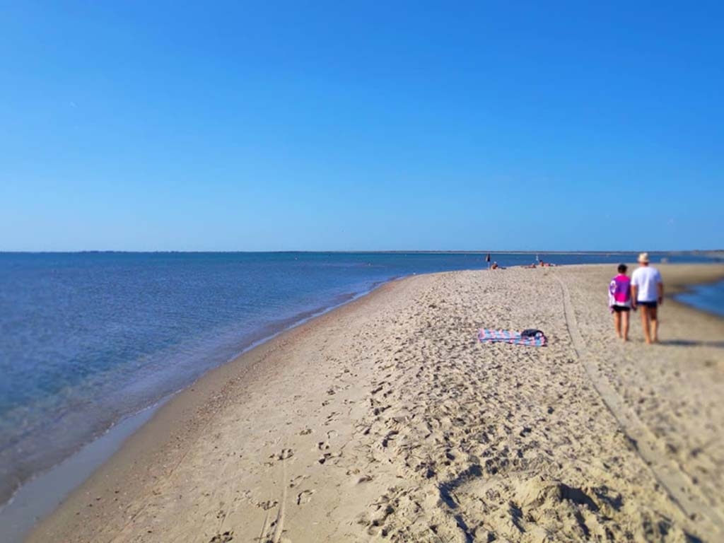Морські далі